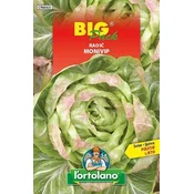RADIČ MONIVIP BIG PACK 20gr
