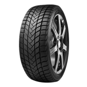 DELINTE zimska pnevmatika 155 / 65 R14 75T WD6