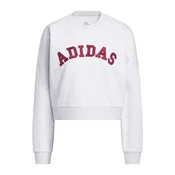 ADIDAS SPORTSWEAR Športna majica Holiday svetlo siva / burgund
