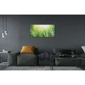 tulup.si Slika na akrilnem steklu Grass sonce kapljice 120x60 cm 4 obešalnika