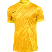 Nike Dres Dri-FIT Gardien V