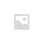 solo by AL-KO T 15-103.3 HD-A COMFORT pro