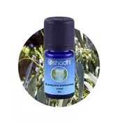 Oshadhi eukaliptus (polibraktea cineol) etericno ulje (10ml), 1411-10