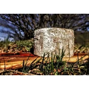 Butični sir Vipava Valley – Golden Ring Cheese