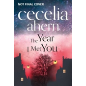 The Year I Met You