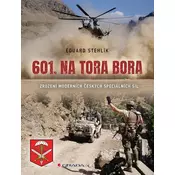 601. na Tora Bora