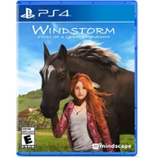 Windstorm Start of a Great Friendship (PS4)
