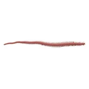 Vaba Berkley Gulp! Sandworm (Néréis) 15cm
