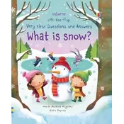 What is Snow?