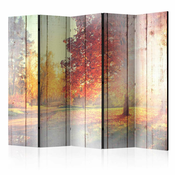 Paravan u 5 dijelova - Autumn Sun II [Room Dividers] 225x172