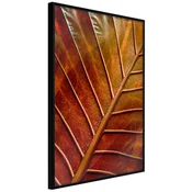 Poster - Bronze Leaf 30x45