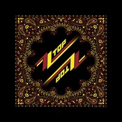 Ruta ZZ TOP - LOGO - črna - RAZAMATAZ - B140