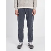 JACK & JONES Hlače JPSTKANE siva