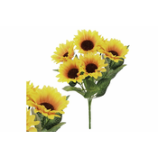 eoshop sončnica Puget. SG6076
