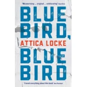 Bluebird, Bluebird