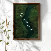 WallXpert uramljena MDF slika NAL132-70, jato belih caplji iznad reke kroz zelenu travu, 50 x 70 cm