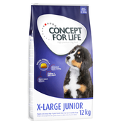 Snižena cijena! Concept for Life - X-Large Junior (12 kg)