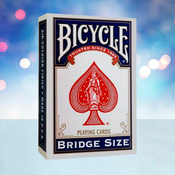 Bicycle Rider Back Bridge BlueBicycle Rider Back Bridge Blue