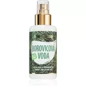 Purity Vision Ekološka borova voda 100 ml