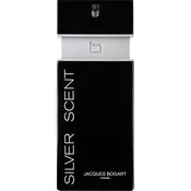 SILVER SCENT edt spray 100 ml
