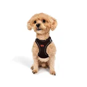 Paws & Whiskers Am za pse Air-Mesh, Braon