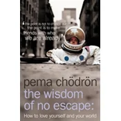 Wisdom of No Escape