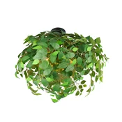 Reality Leuchten Stropna svetilka Leavy, črno-zelena, O 70 cm, E14, 3-plamenska - Dnevna soba/jedilnica - zelena, črna - Plastika