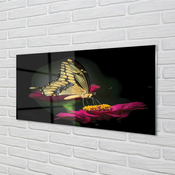 tulup.si Slika na akrilnem steklu Metulj na cvet 125x50 cm 4 obešalnika