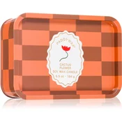Paddywax A Dopo Flower dišeča sveča 184 g