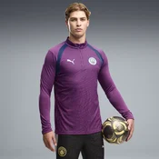 PUMA Manchester City Quarter-Zip Slim Training Top Men, Men, Plum Wine/Blue Jewel, XXL