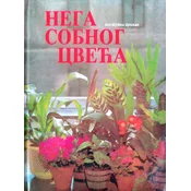 Nega sobnog cveca postupni prikaz