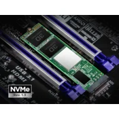 SSD TRANSCEND 256GB/interni/M.2/NVMe/crna