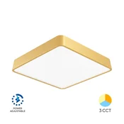 BRAYTRON BLADE SS stropna svetilka LED 36W CCT zlata