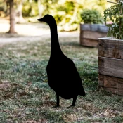 Aberto Design Dekorativna figura Goose 04, 65x26 cm, 1.5 mm