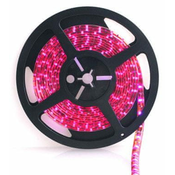 Forever LED trak SMD3528 8mm 60LED 4,8W/m - roza
