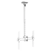 Stropni Nosac za TV | 32 – 80 inca | Okretan | 50 kg | JOLLYLINE