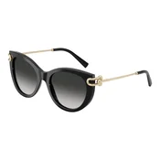 Tiffany & Co. TF4232 80013C