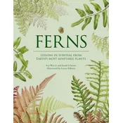 Ferns