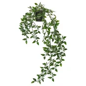 FEJKA Umetna lončnica, notranji/zunanji/viseče, 9 cm