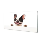 tulup.si Stenska plošča za kuhinjo Dog 125x50 cm