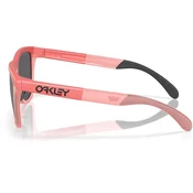 OAKLEY SONČNA OČALA FROGSKINS RANGE MUTED METAL
