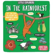 Little Explorers: In the Rainforest