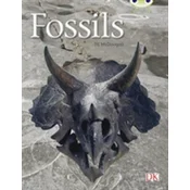 BC NF Gold A/2B Fossils