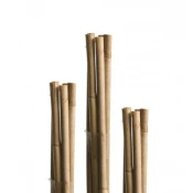 Windhager bambus A!tap 7 kom ( WH 05607 )