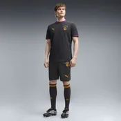 PUMA Galatasaray S.K. 26/27 Shorts Men, Men, Flat Dark Gray/Plum Wine, M