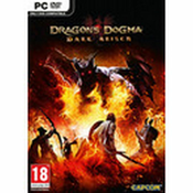 Dragons Dogma: Dark Arisen STEAM Key