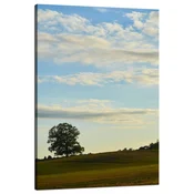 shumee Platno Narava Drevo na polju 80x120 cm Nebo Travnik Oblaki