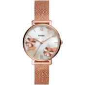 FOSSIL ES4534
