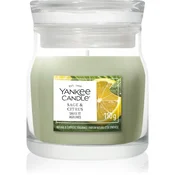 Yankee Candle Sage & Citrus dišeča sveča Signature 110 g