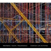 Norman Westberg & Giridhar Udupa & Jacek Mazurkiewicz - Everyday Life Activities (LP)